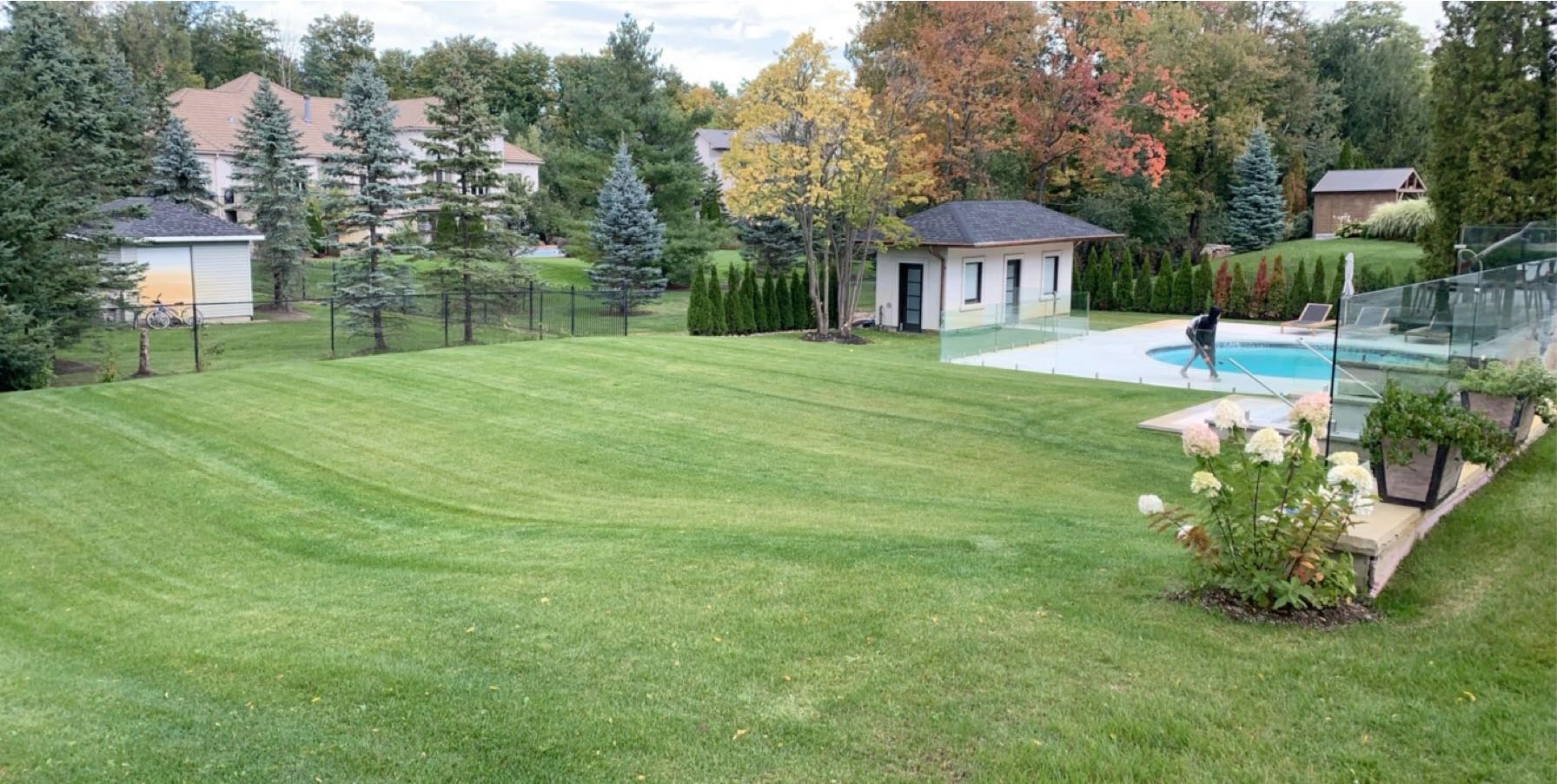 Landscaping