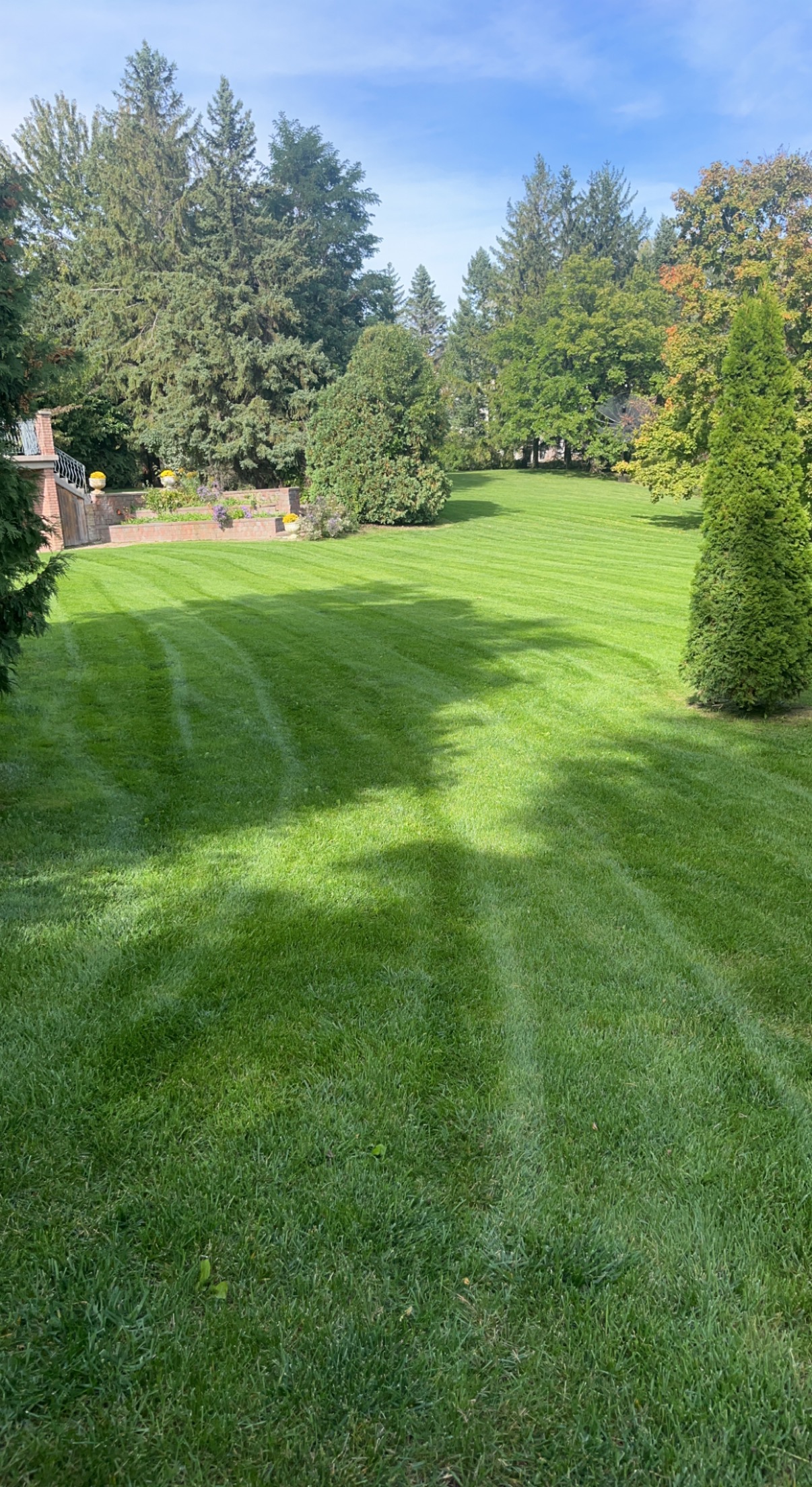 Landscaping